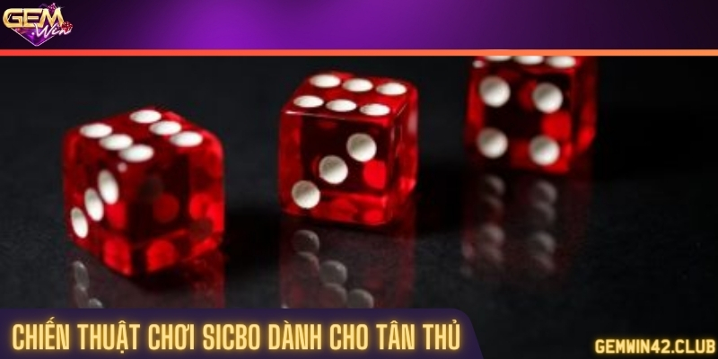 Những chiến thuật chơi dành cho tân thủ