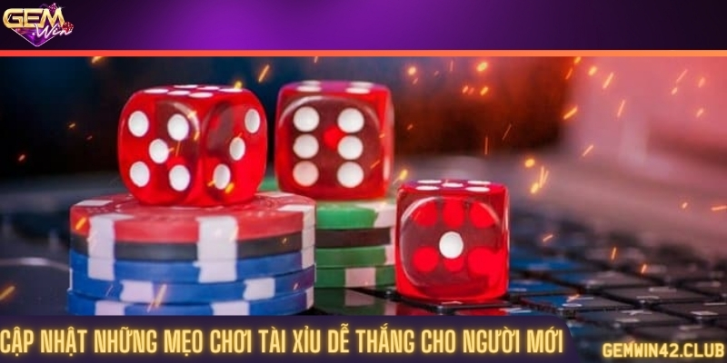 Cập nhật những mẹo chơi tài xỉu dễ thắng cho người mới