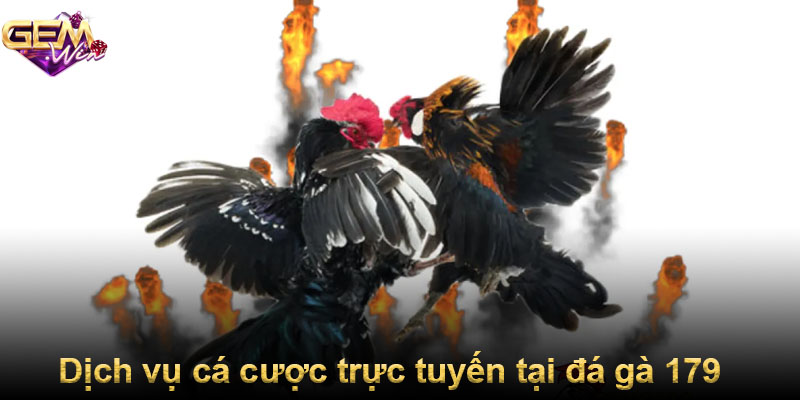 Dịch vụ cá cược trực tuyến tại đá gà 179