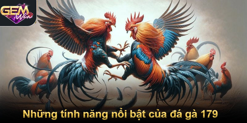Những tính năng nổi bật của đá gà 179