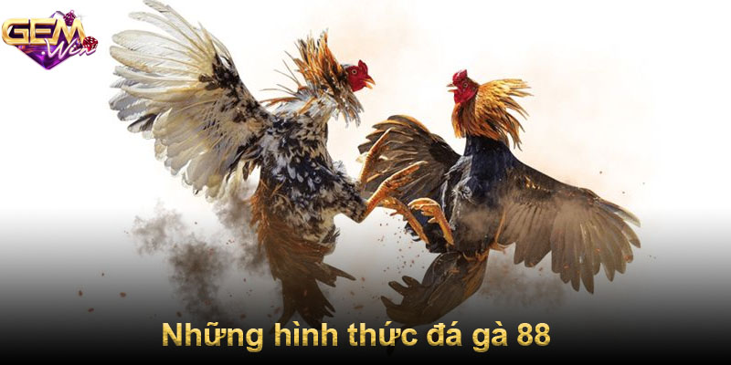 Những hình thức đá gà 88
