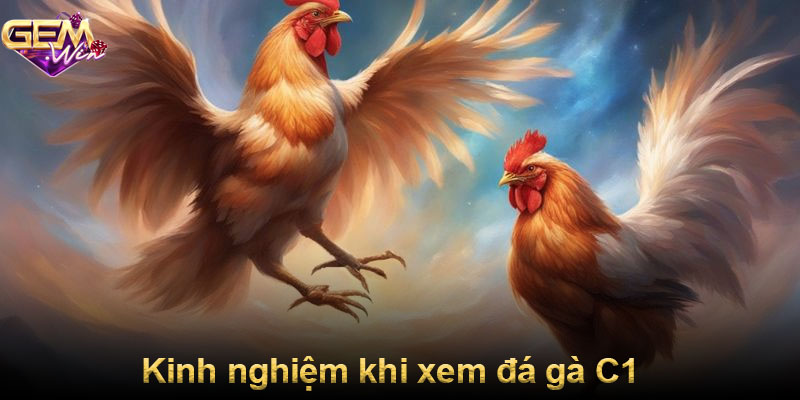 Kinh nghiệm khi xem đá gà C1