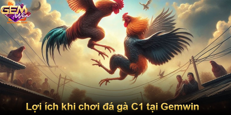 Lợi ích khi chơi đá gà C1 tại Gemwin