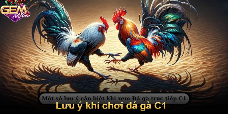 Lưu ý khi chơi đá gà C1