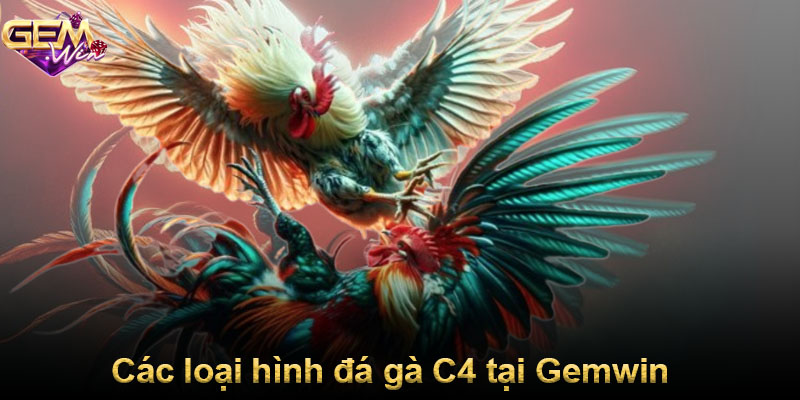 Các loại hình đá gà C4 tại Gemwin