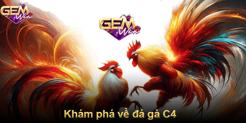 Khám phá về đá gà C4