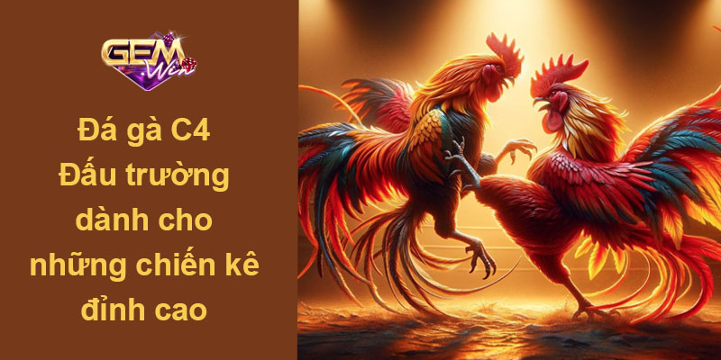 Đá gà C4 - Đấu trường dành cho những chiến kê đỉnh cao