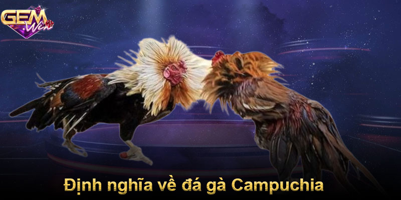 Định nghĩa về đá gà Campuchia