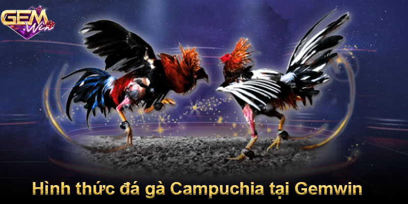 Hình thức đá gà Campuchia tại Gemwin