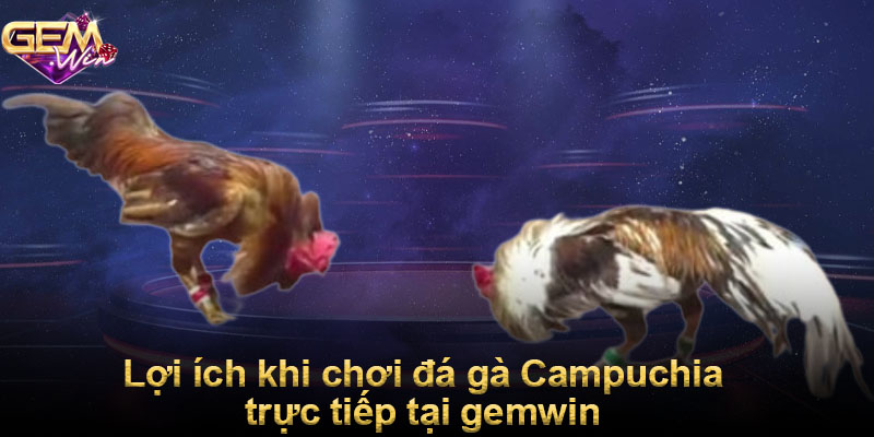 Lợi ích khi chơi đá gà Campuchia trực tiếp tại Gemwin