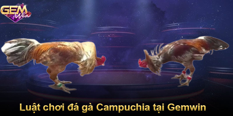 Luật chơi đá gà Campuchia tại Gemwin