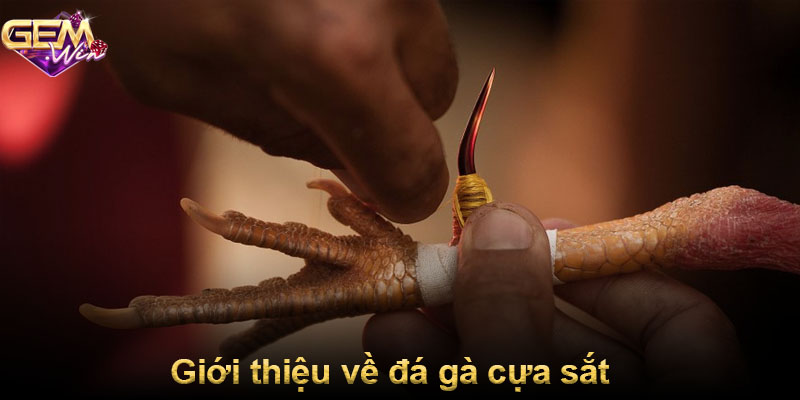 Giới thiệu về đá gà cựa sắt