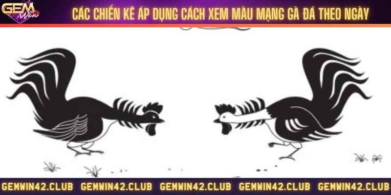 Xem màu gà đá chi tiết