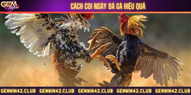 Một vài cách coi ngày theo lịch, từ chuyên gia hoặc ứng dụng xem