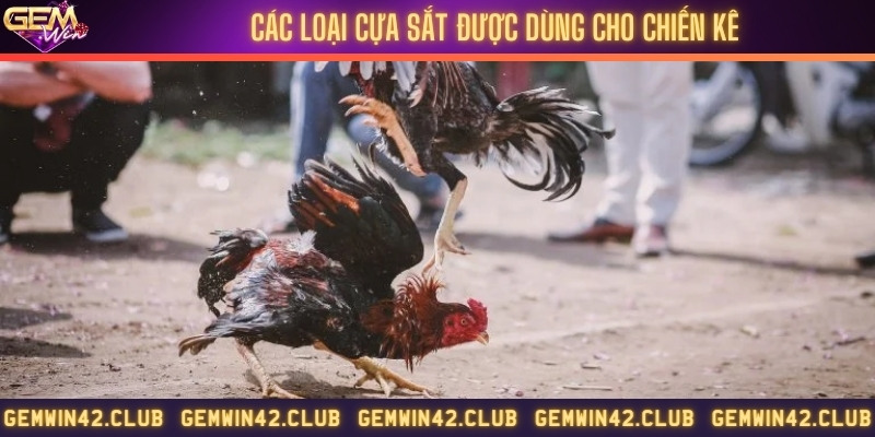 Tổng hợp các loại cựa sắt thường dùng