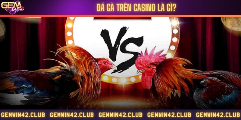 Thông tin mới nhất về đá gà trên casino