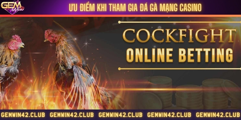 Đánh giá ưu điểm của đá gà trên casino