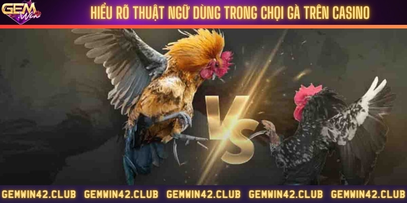 Thuật ngữ dùng trong chọi kê casino
